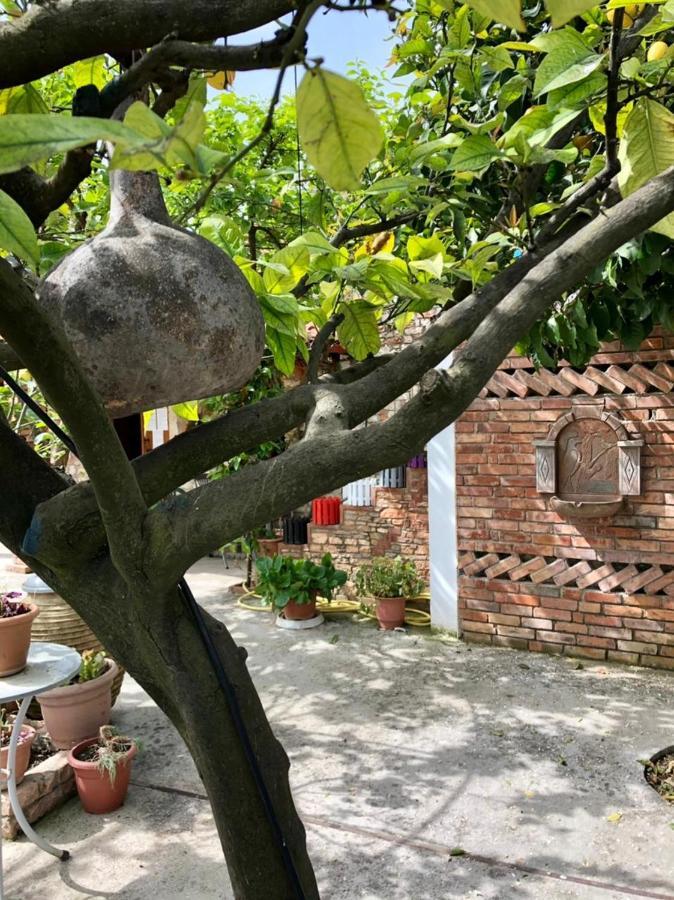 Villa Muzhaqi Nivice 외부 사진