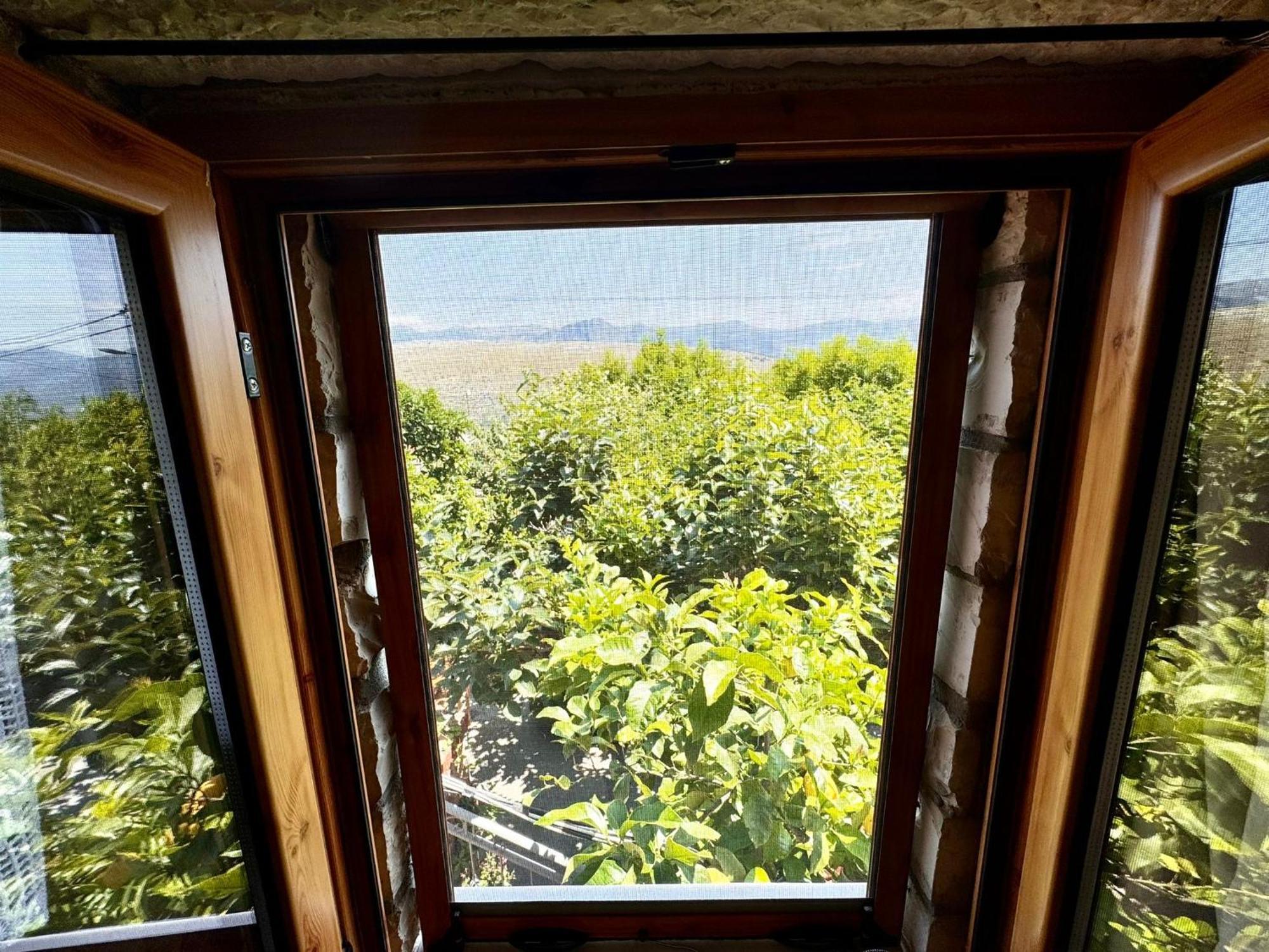 Villa Muzhaqi Nivice 외부 사진
